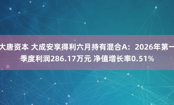大唐资本 大成安享得利六月持有混合A：2026年第一季度利润286.17万元 净值增长率0.51%